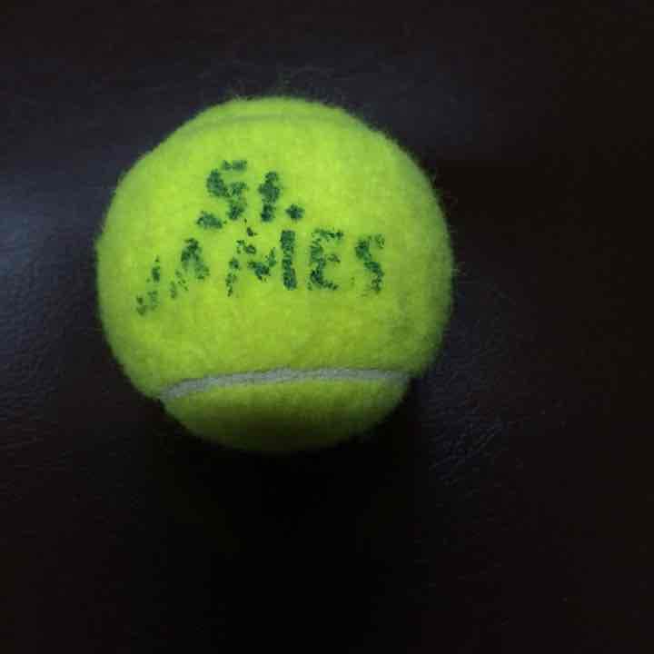 テニスボール(交渉余地あり)