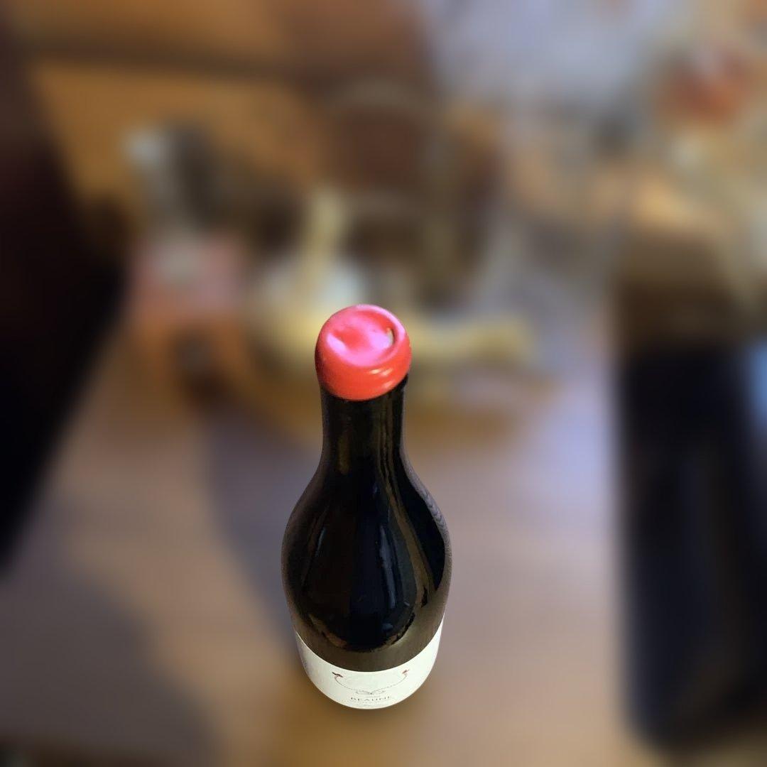 ボーヌ ヴィエイユ ヴィーニュ 2020 クラリス ド スレマン