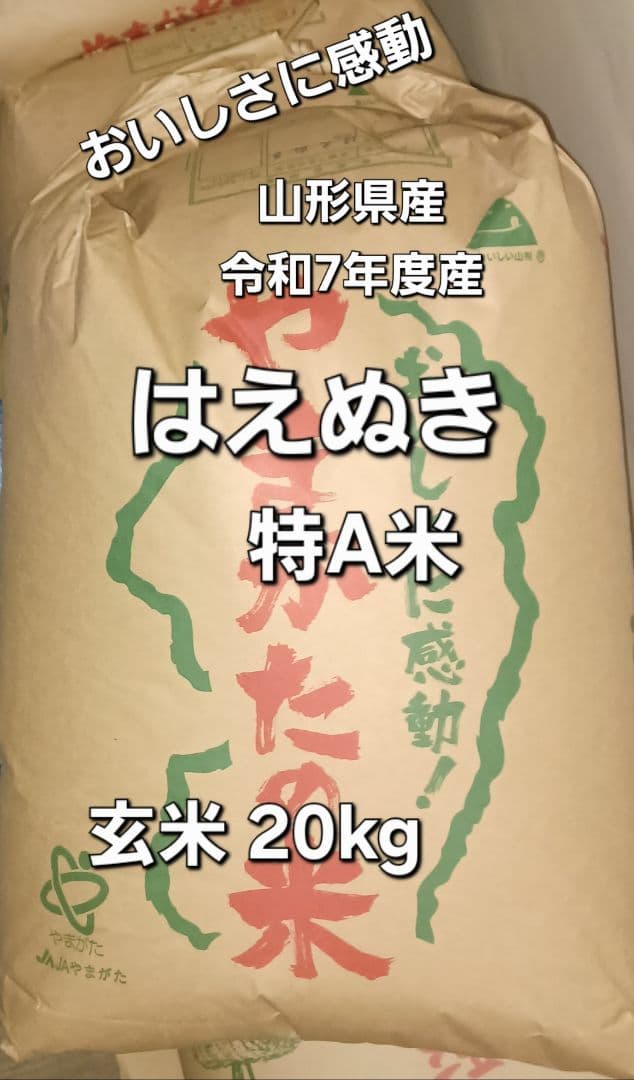 はえぬき 特A米 玄米 20kg　令和7年度産　山形県産　全国送料無料