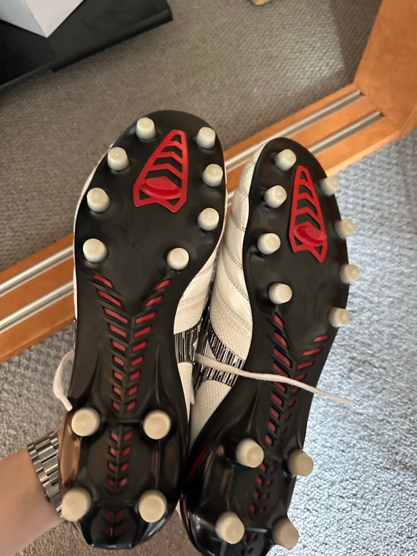 モレリアネオ 4 β JAPAN 27.5cm