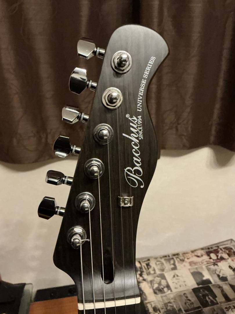 Bacchus BTE-TW オールローズ風 テレキャスター ジョージハリスン