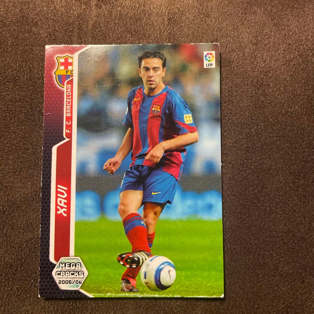 パニーニシャビ