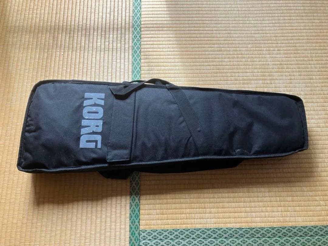 鍵盤楽器 KORG RK-100S 2 KEYTER