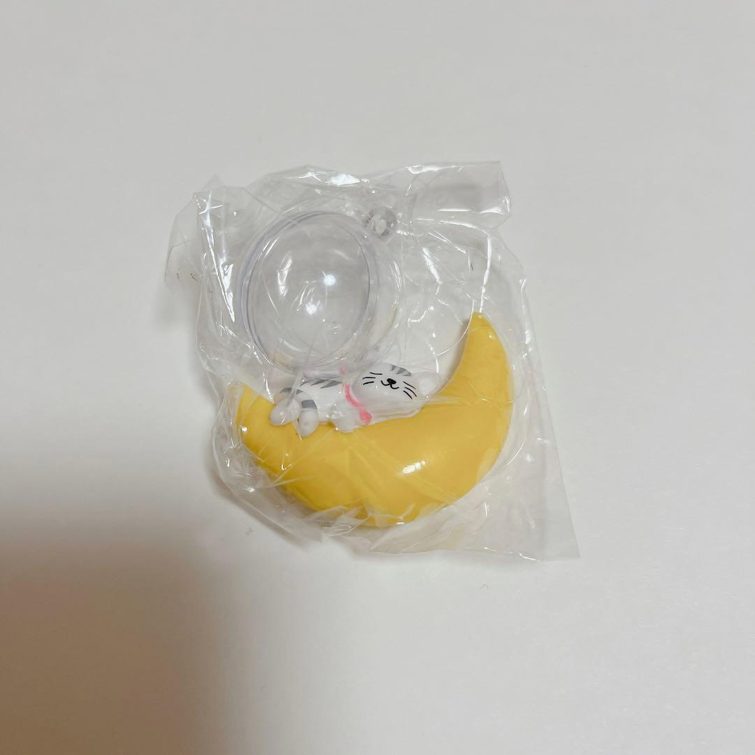 お買い得❤️5個セット　水槽用飾り