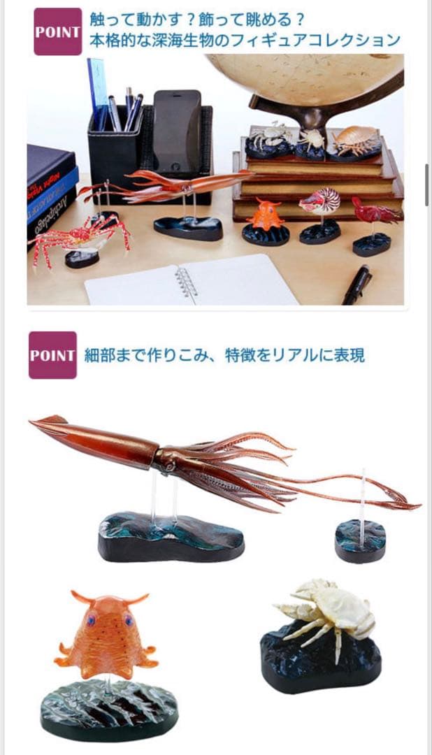 最終値下げ　即日発送　新品 カロラータ 立体図鑑 深海生物プレミアム ボックス