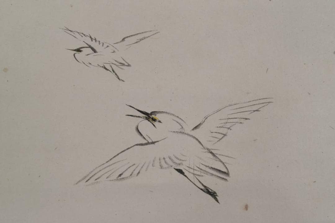 【真作】荒木寛畝/芦に鷲図/掛軸/名家伝来/AA-495