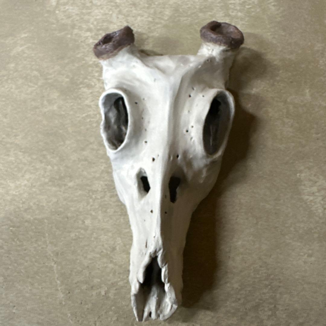 入手困難⭐︎ハンティングトロフィー　陶器製　鹿　角　オブジェ