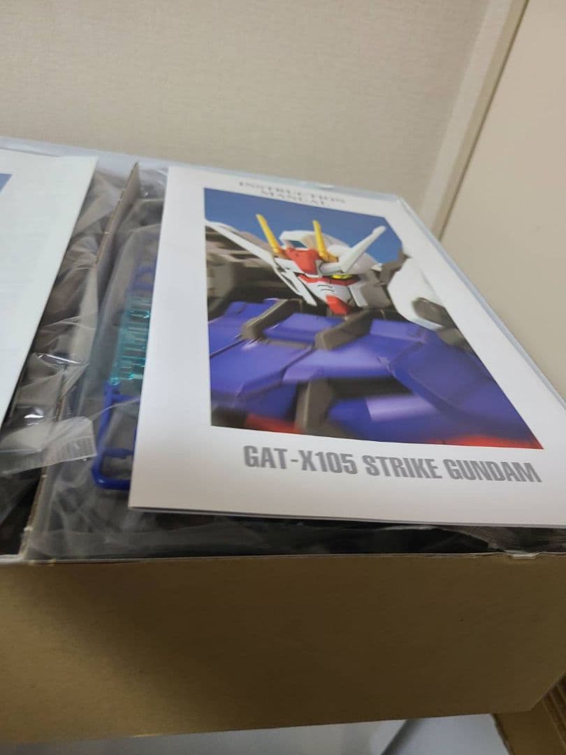 ハ*１様 未組立BANDAI GAT-X105 STRIKE GUNDAM PG