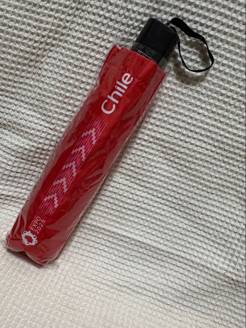 万博　チリグッズセット　おまけ付　【非売品】