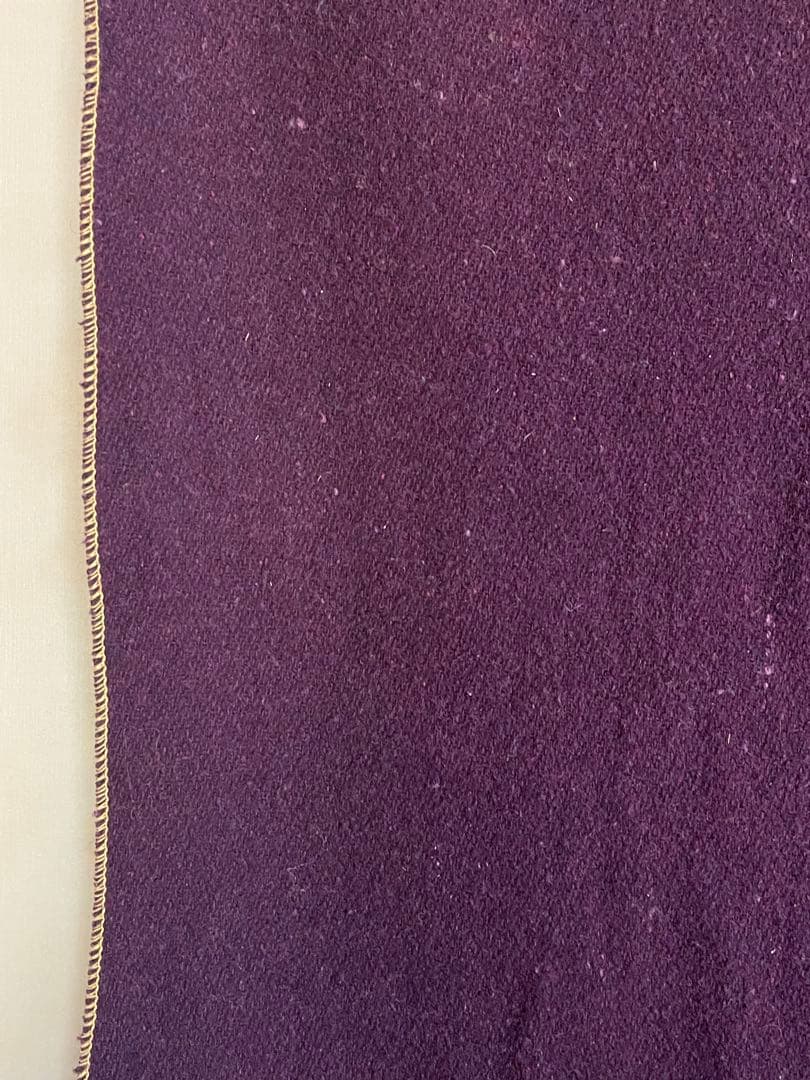 Phi Delta Theta ファイデルタシータ ビンテージ ブランケット