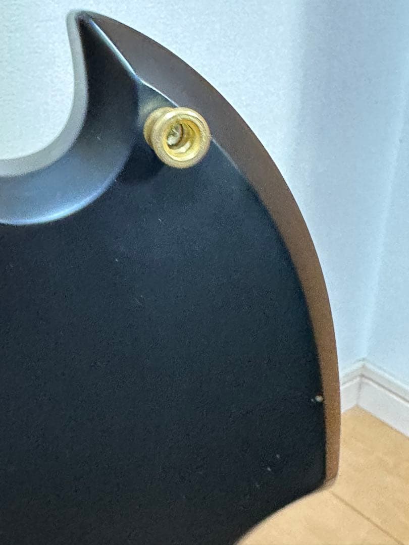 B*i様 FERNANDES フェルナンデス　Burny mg-125s 後期