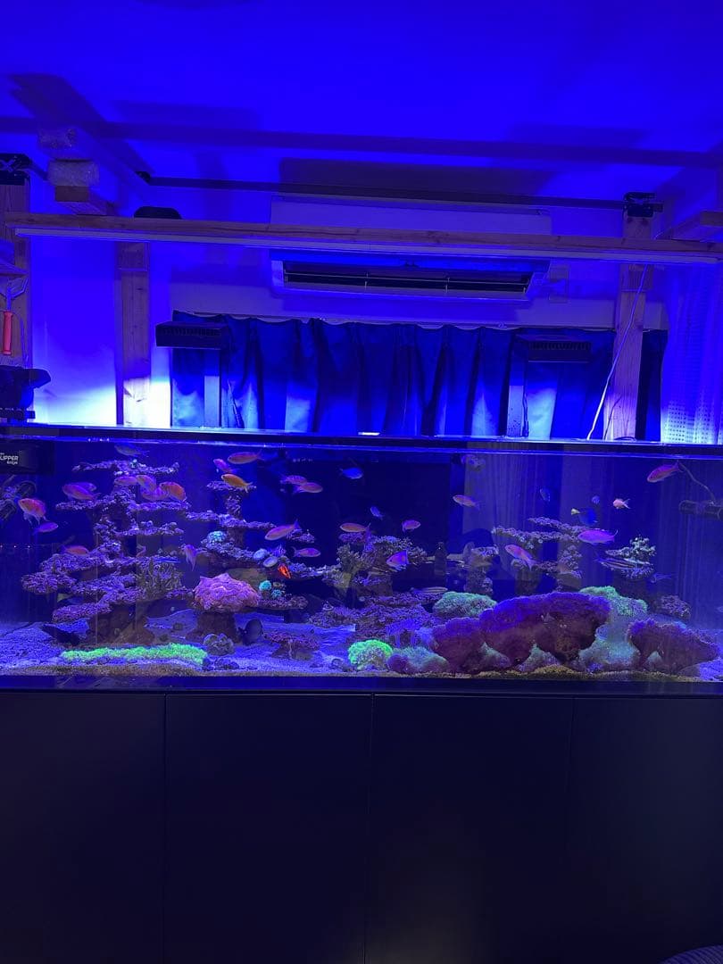 レッドシー　S-1000本体+中身