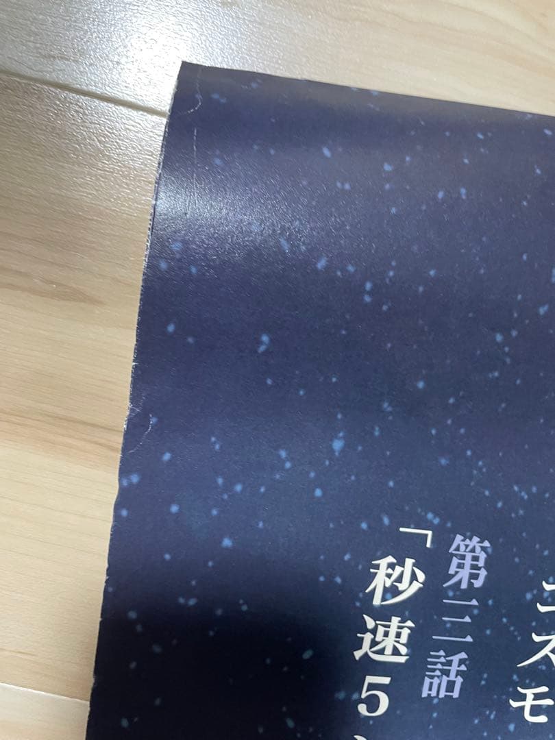 秒速5センチメートル　ポスター　B2サイズ