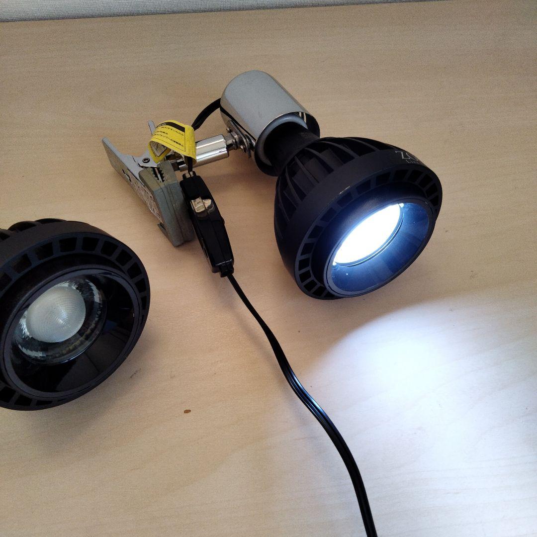 ZOOX LED RAYS Shallow Reef×2　レディオクリップS×1