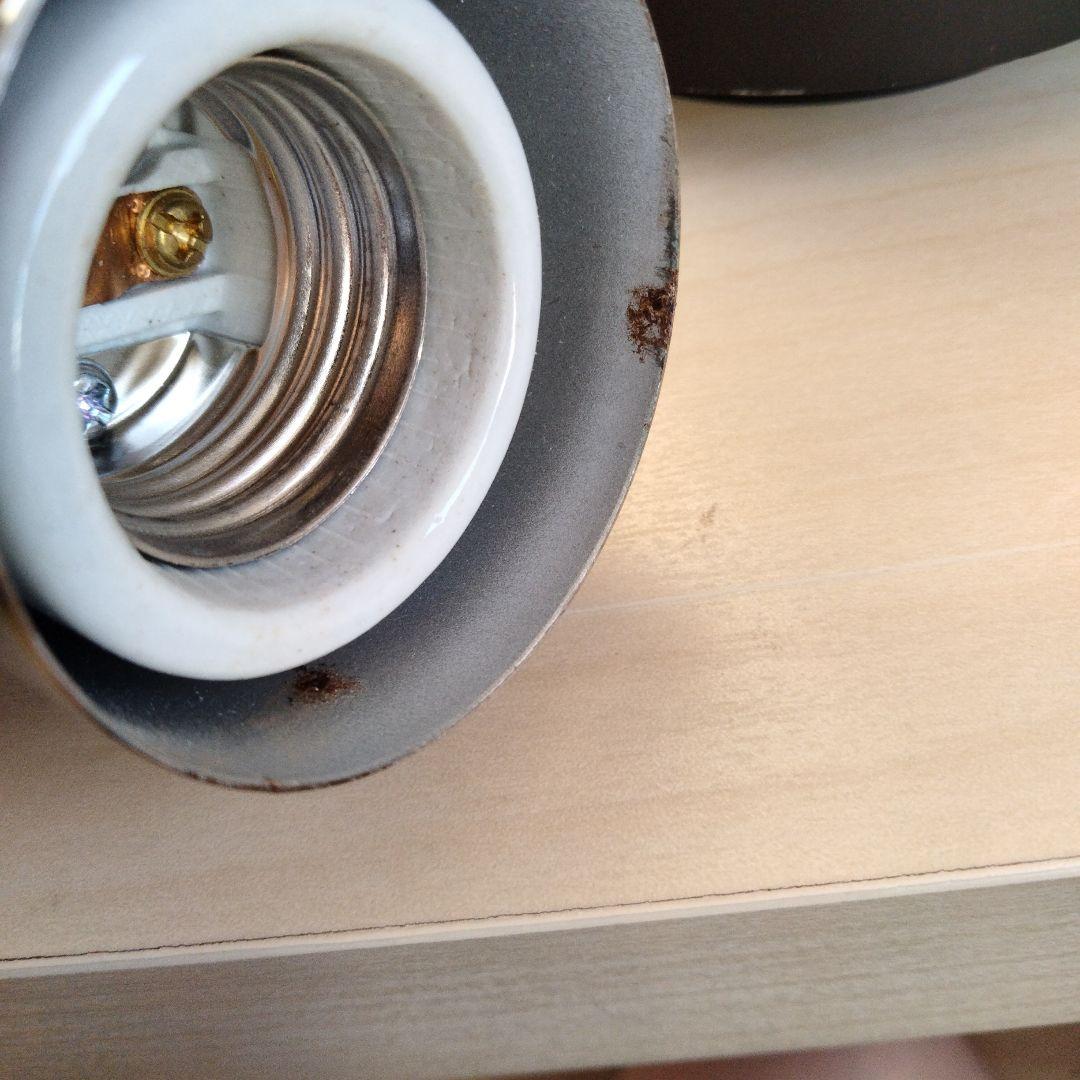 ZOOX LED RAYS Shallow Reef×2　レディオクリップS×1