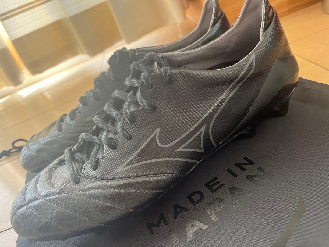 モレリアネオ2β