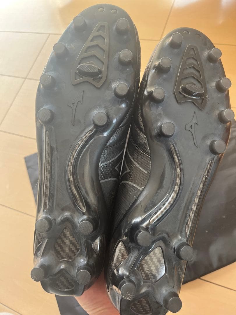 モレリアネオ2β