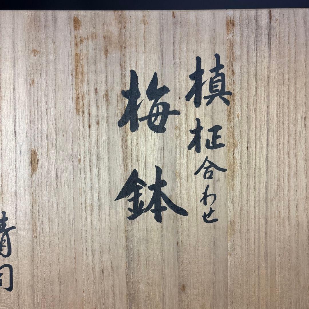人間国宝　中川清司　槙柾合わせ　梅鉢　共箱