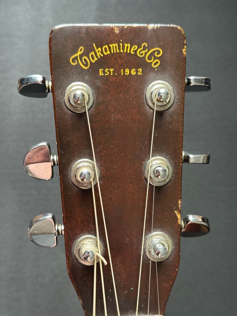 Takamine F340S タカミネ Lawsuit