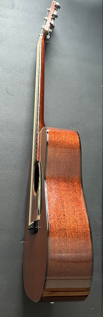 Takamine F340S タカミネ Lawsuit