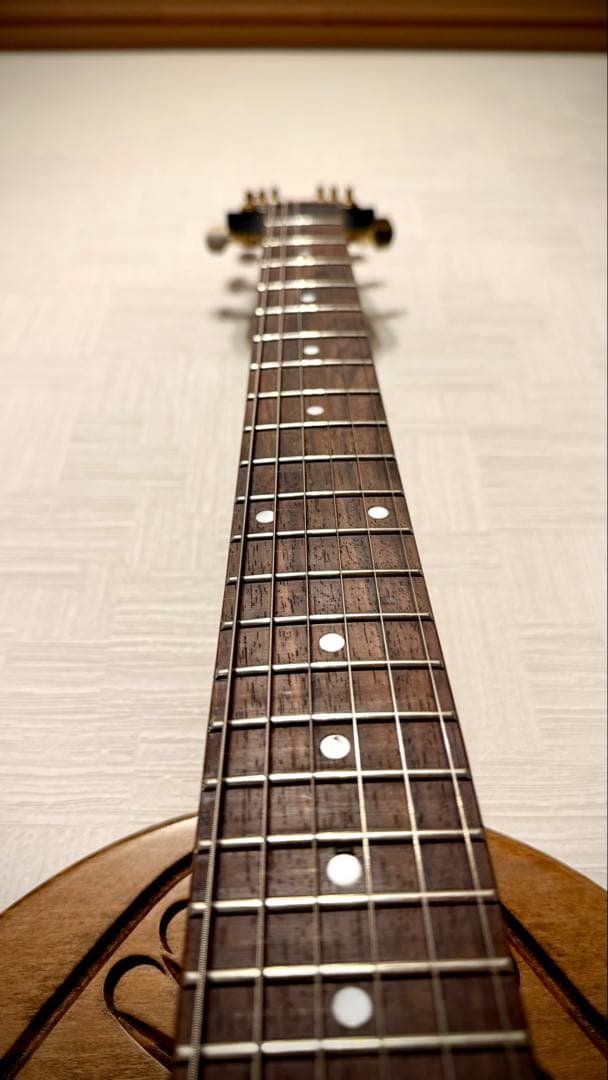 【レア】フライングV flying V