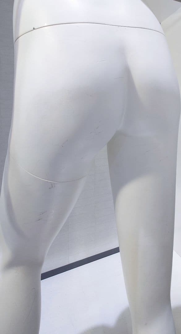 【送料込み】リアルマネキン　トルソー　レディース　婦人　9号