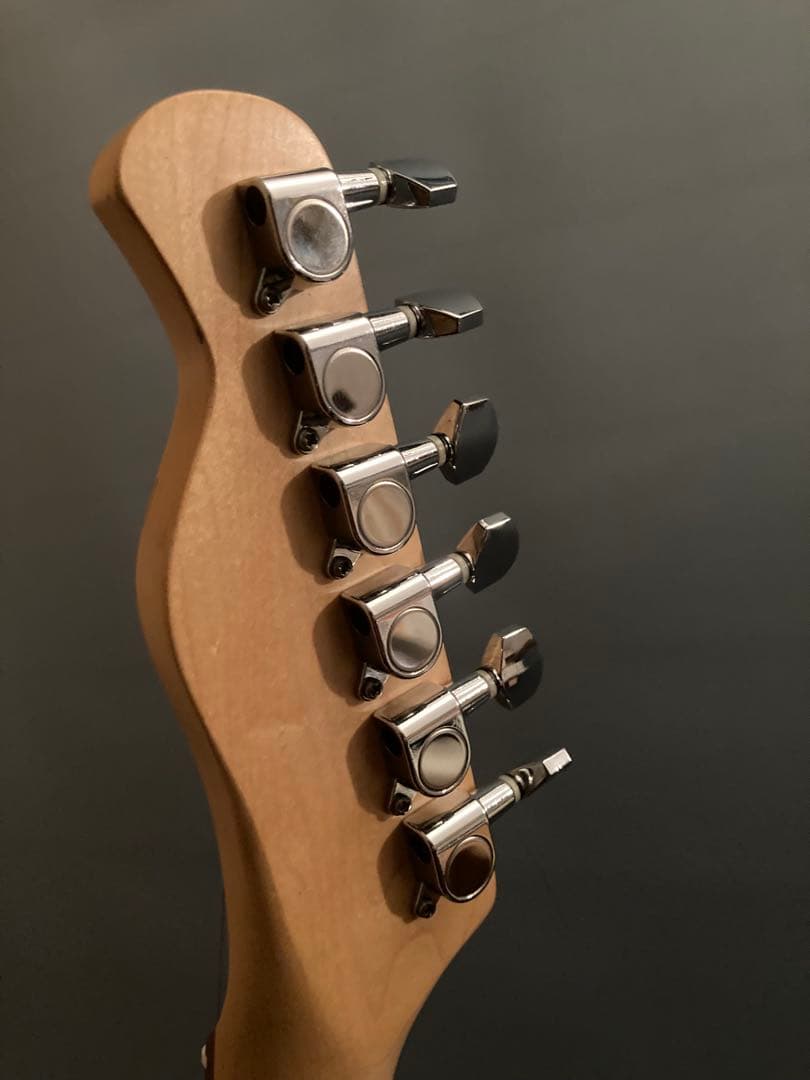 Bacchus バッカス　ユニバース　テレキャスター　クリーニング•調整済み