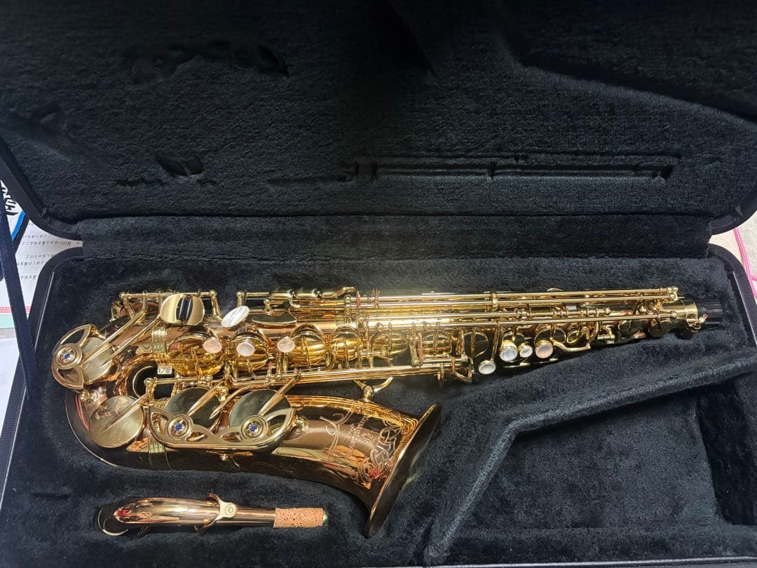 ヤナギサワアルトサツクスWO20 本体