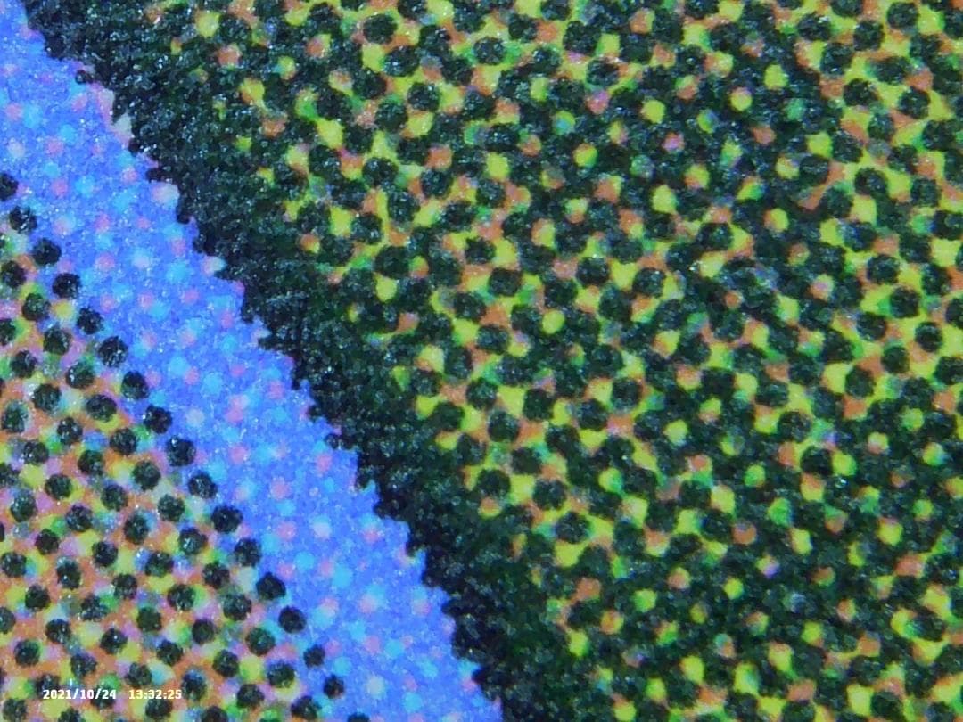 【Foil】精霊龍、ウギン 拡張 英語 (AW)