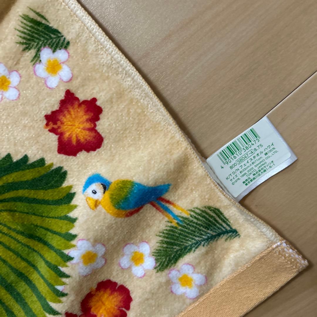 キティ ダニエル 日焼け　ハワイ　ハイビスカス ウクレレ　タオル