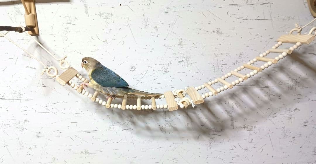 3　吊り橋　はしご　止まり木　バードトイ　鳥　インコ　小動物