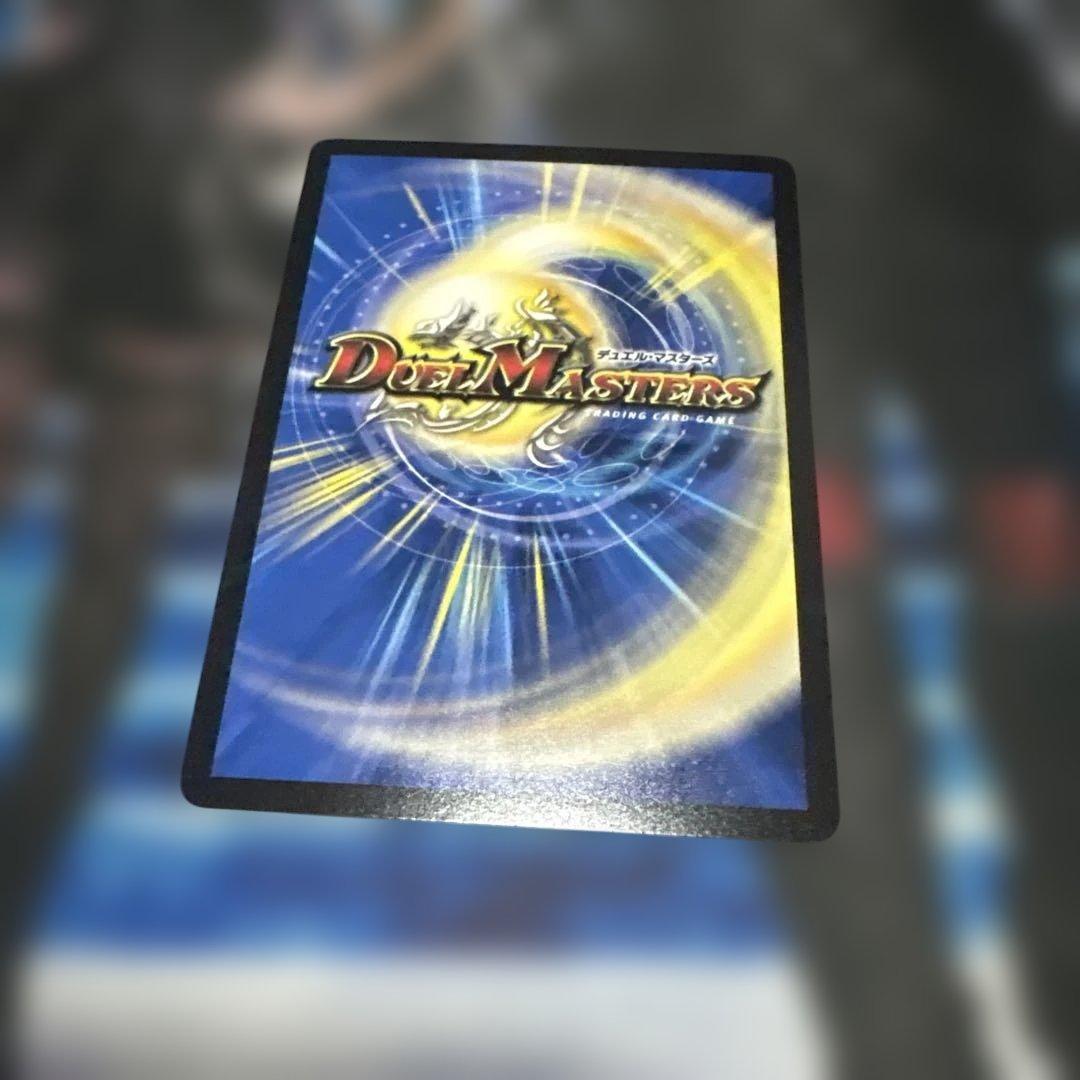 パーフェクトペテンシーシク1枚