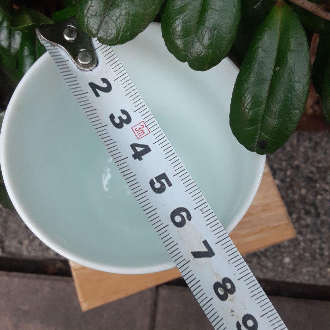 酒井田柿右衛門と書いて有ります。御湯のみ。何代目か分かりません。