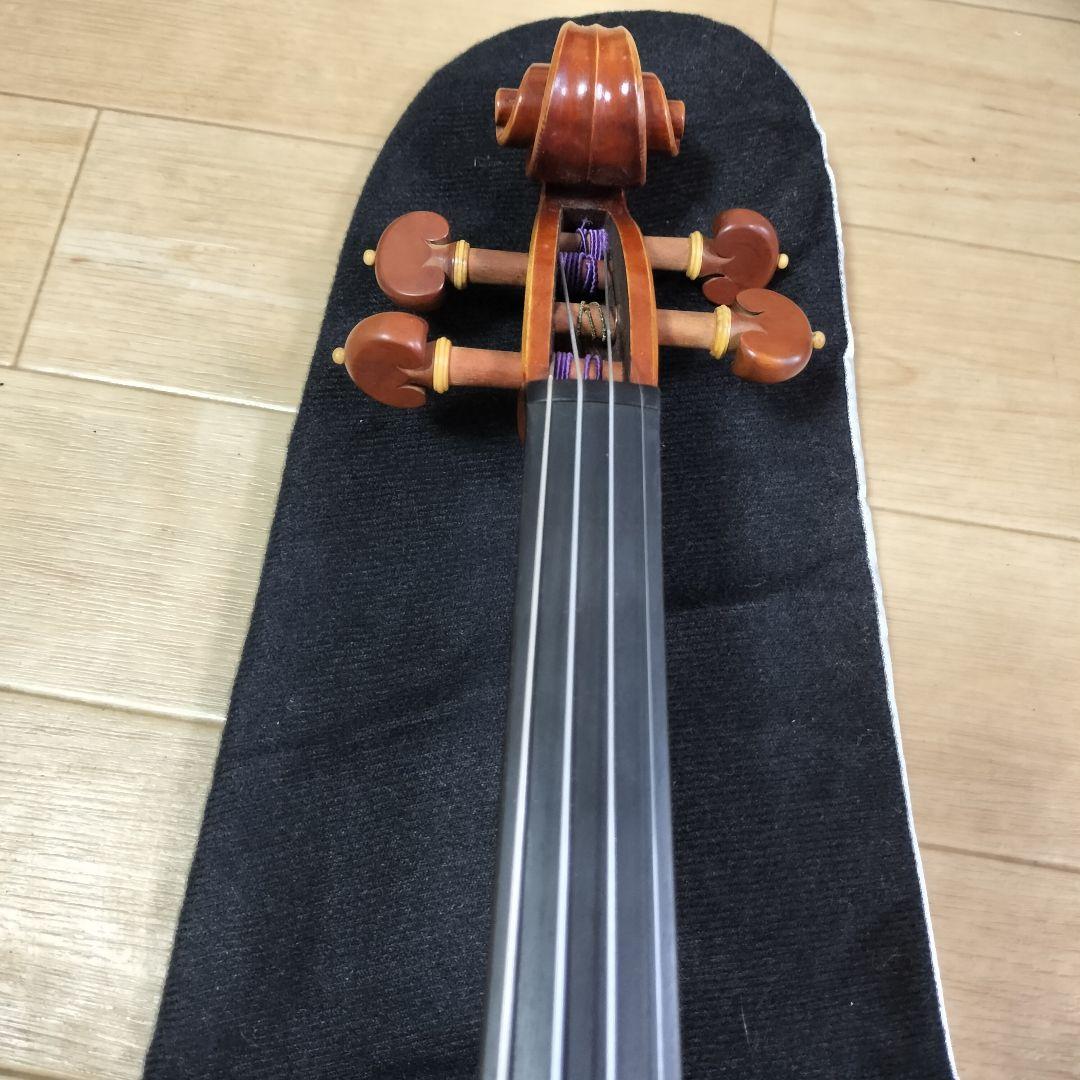 完全最終値下 ピグマリウス スタンダード 4/4 2020 イーストマンケース付