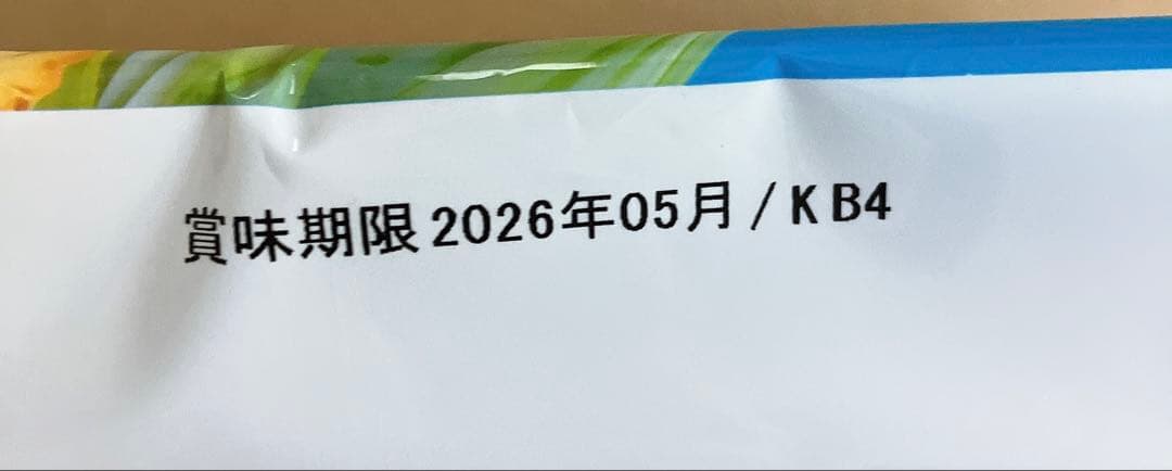 リボン 果汁100％フローズンシャーベット 9本入　48袋
