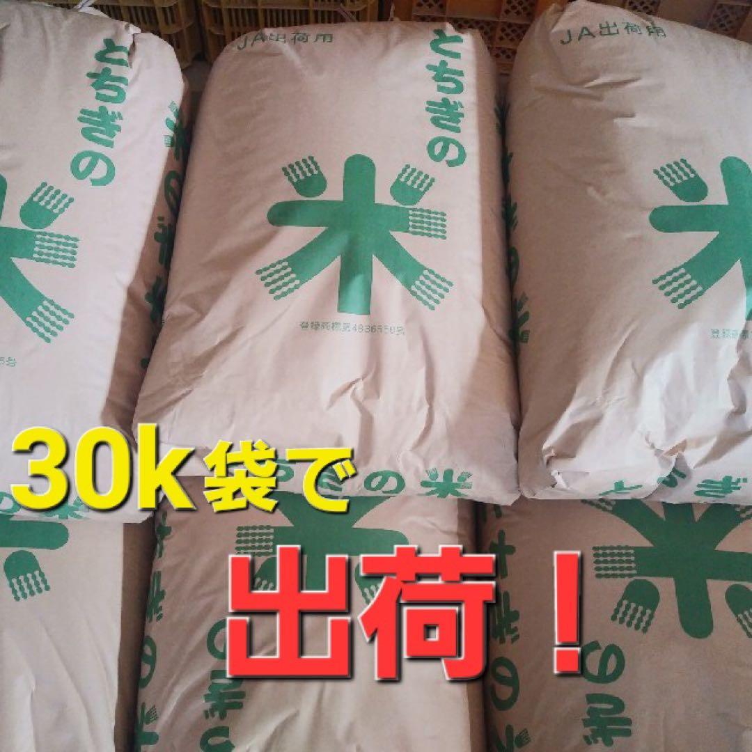 令和7年度栃木県産 コシヒカリ 玄米 30kg