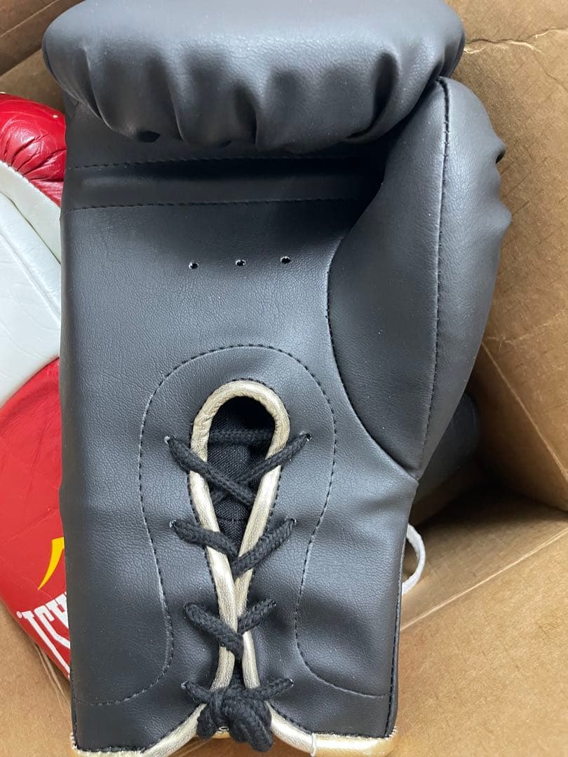 カネロvsクロフォード記念グローブ