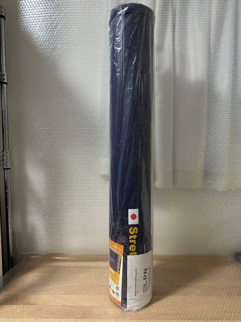 早い者勝ち ストレッチポール EX ネイビー　　DVD付 2020 LPN