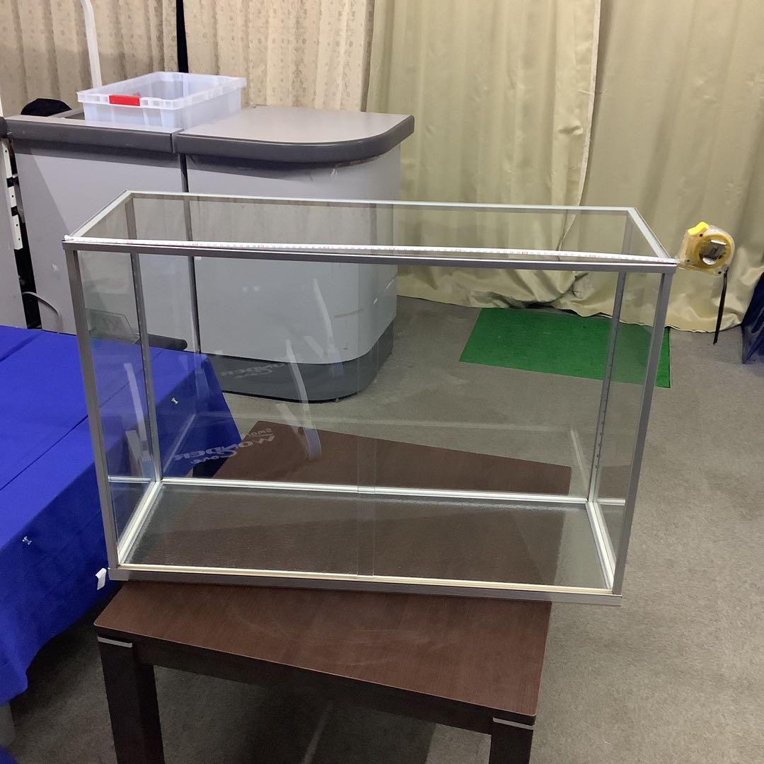 イトウ　剥製　　　魚類 標本 木製スタンド・ショーケース付き