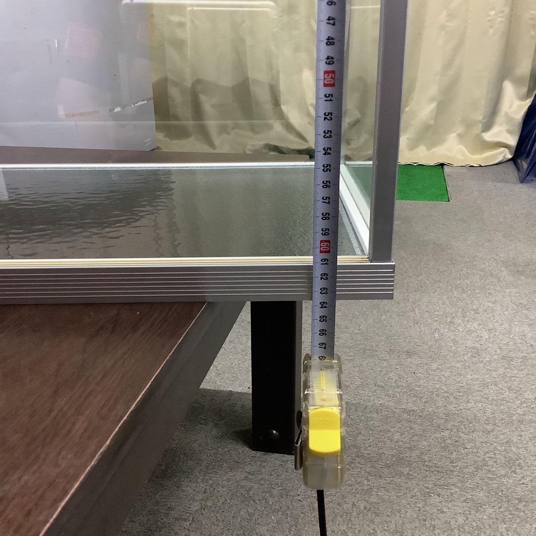 イトウ　剥製　　　魚類 標本 木製スタンド・ショーケース付き