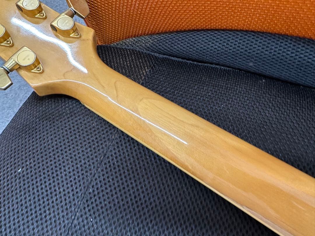 FRNANDES フェルナンデス MG-80X hide