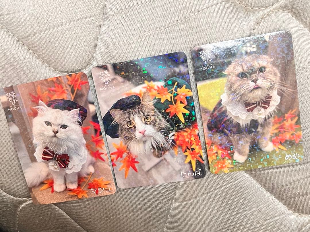 猫カフェmocha にゃんずトレカ　秋のおさんぽ　アルシェ大宮店