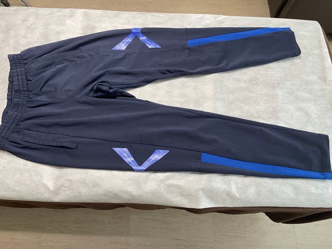 【FC東京 選手支給品 Lサイズ 上下セット】トレーニングウェア 非売品