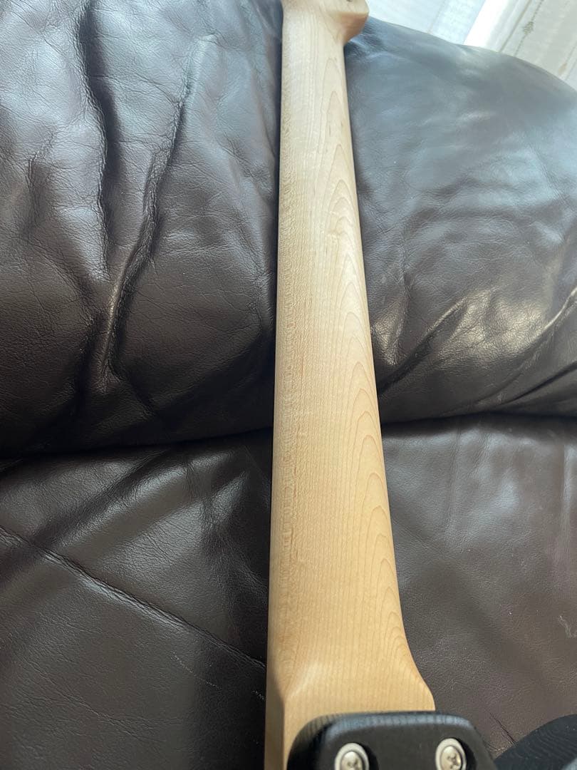 ギター Bacchus T-STANDARD ASH Black Oil