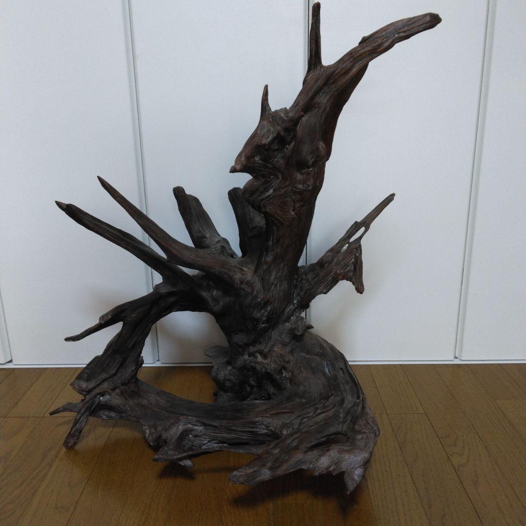 1379 木の根 切株 竜 龍 Dragon