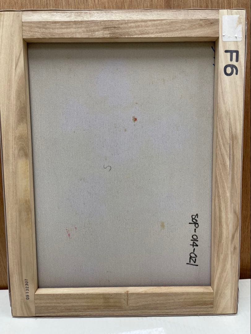 田代恵美 ( 油絵 F6 ) 表面 ガラス使用