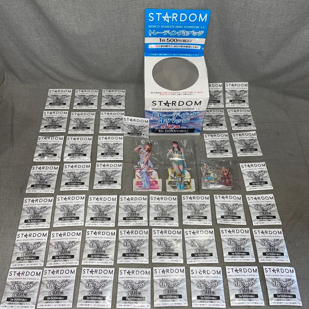 スターダム くじ　BIGアクリルスタンド　フィニッシュ賞　トレーディング缶バッジ