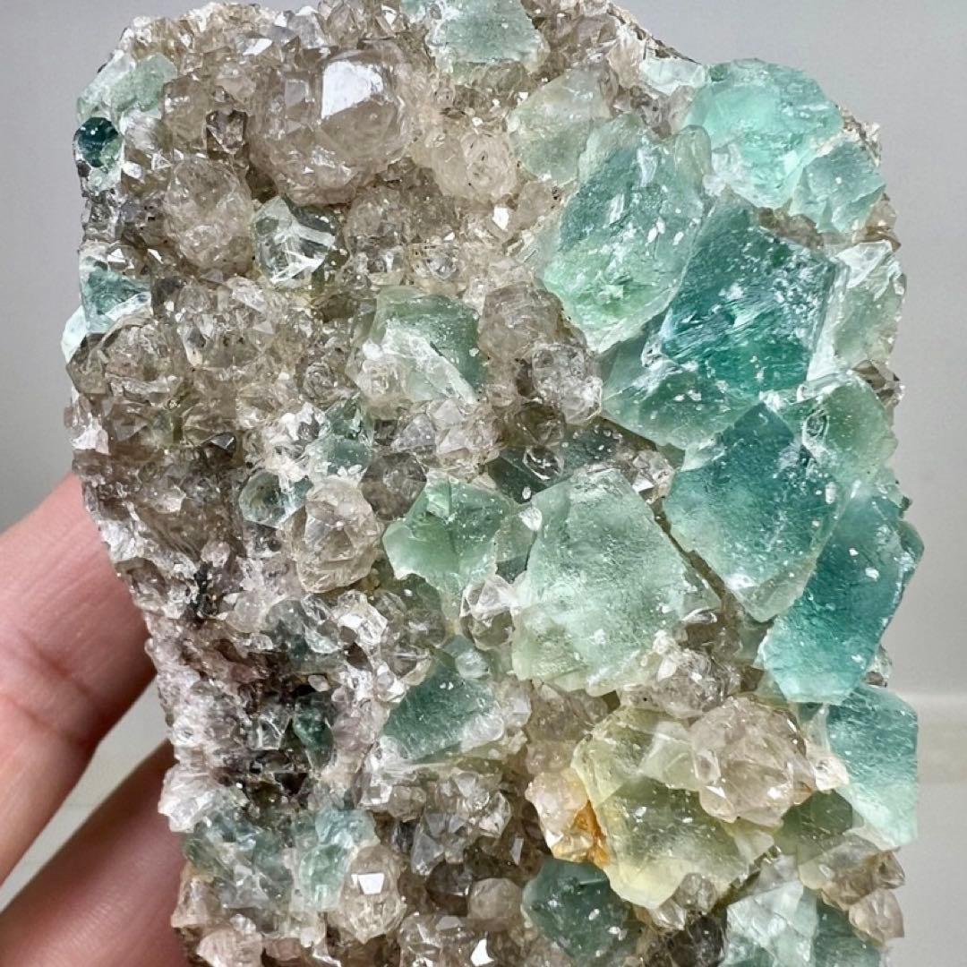 珍品！フローライトクラスター/水晶と共生/母岩付き標本