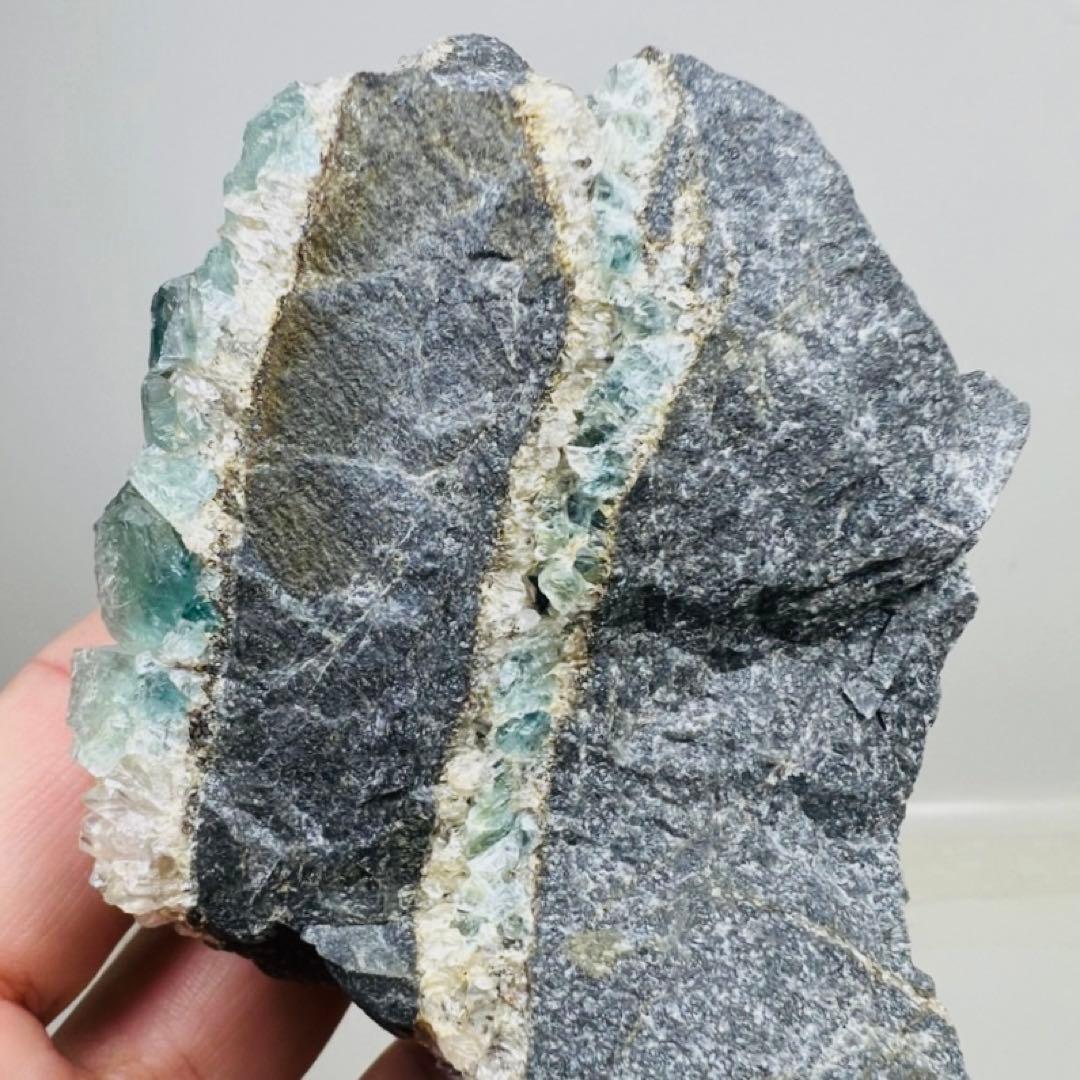 珍品！フローライトクラスター/水晶と共生/母岩付き標本