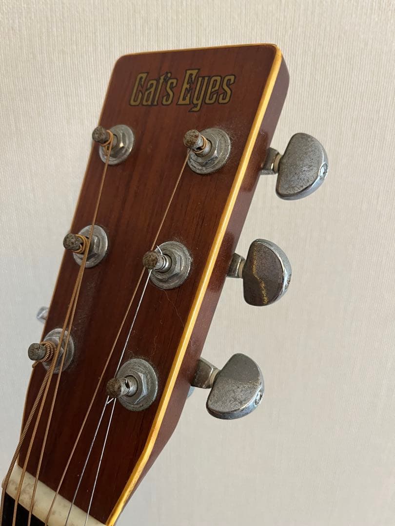 Gibsonセミハードケース付き！TOKAI Cat's Eyes